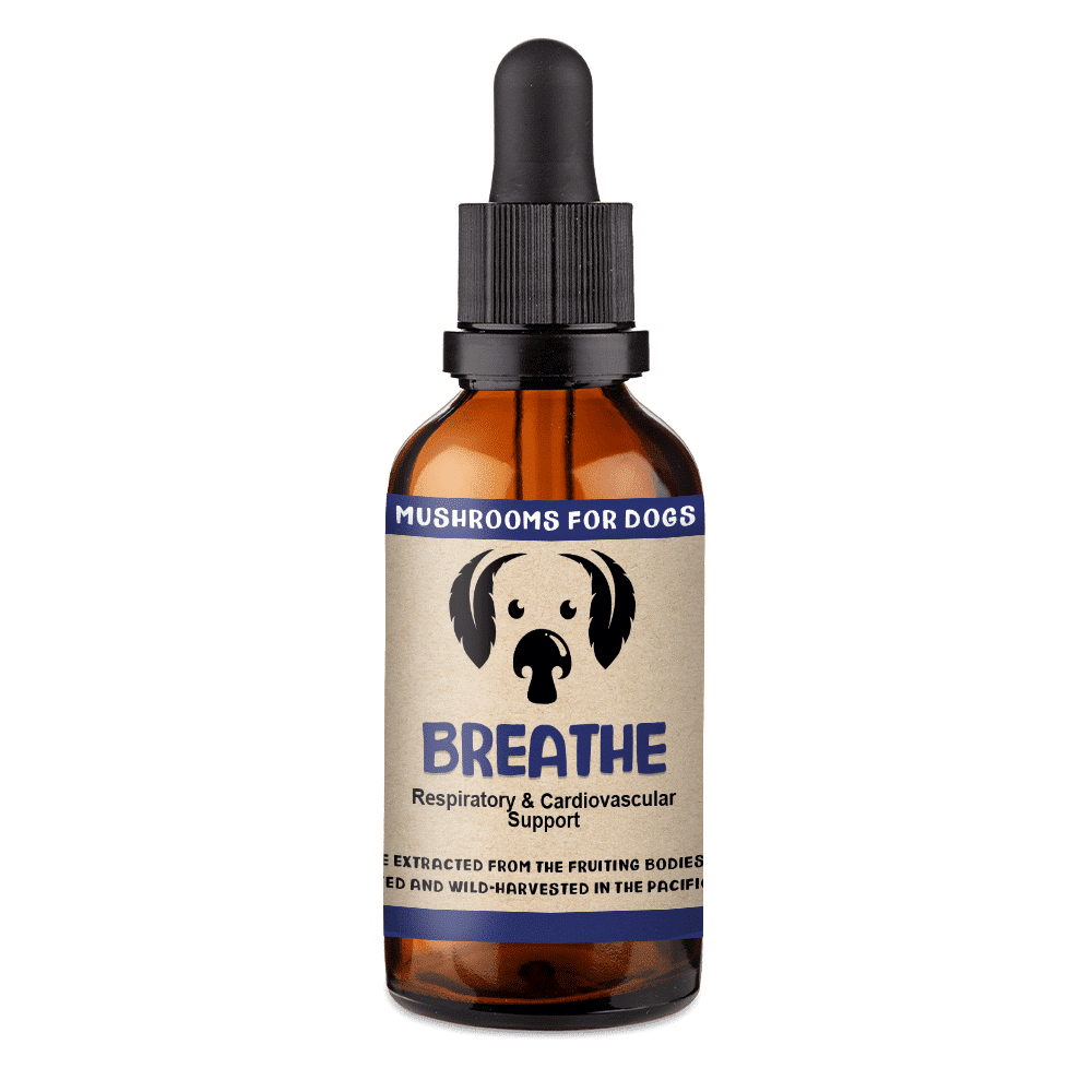 Breathe for Dogs