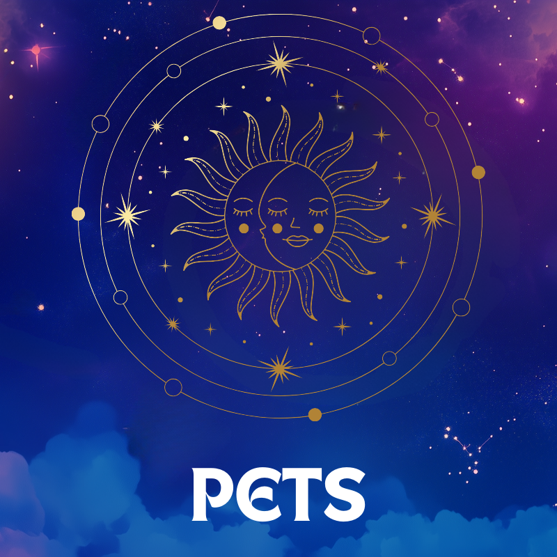 Pets