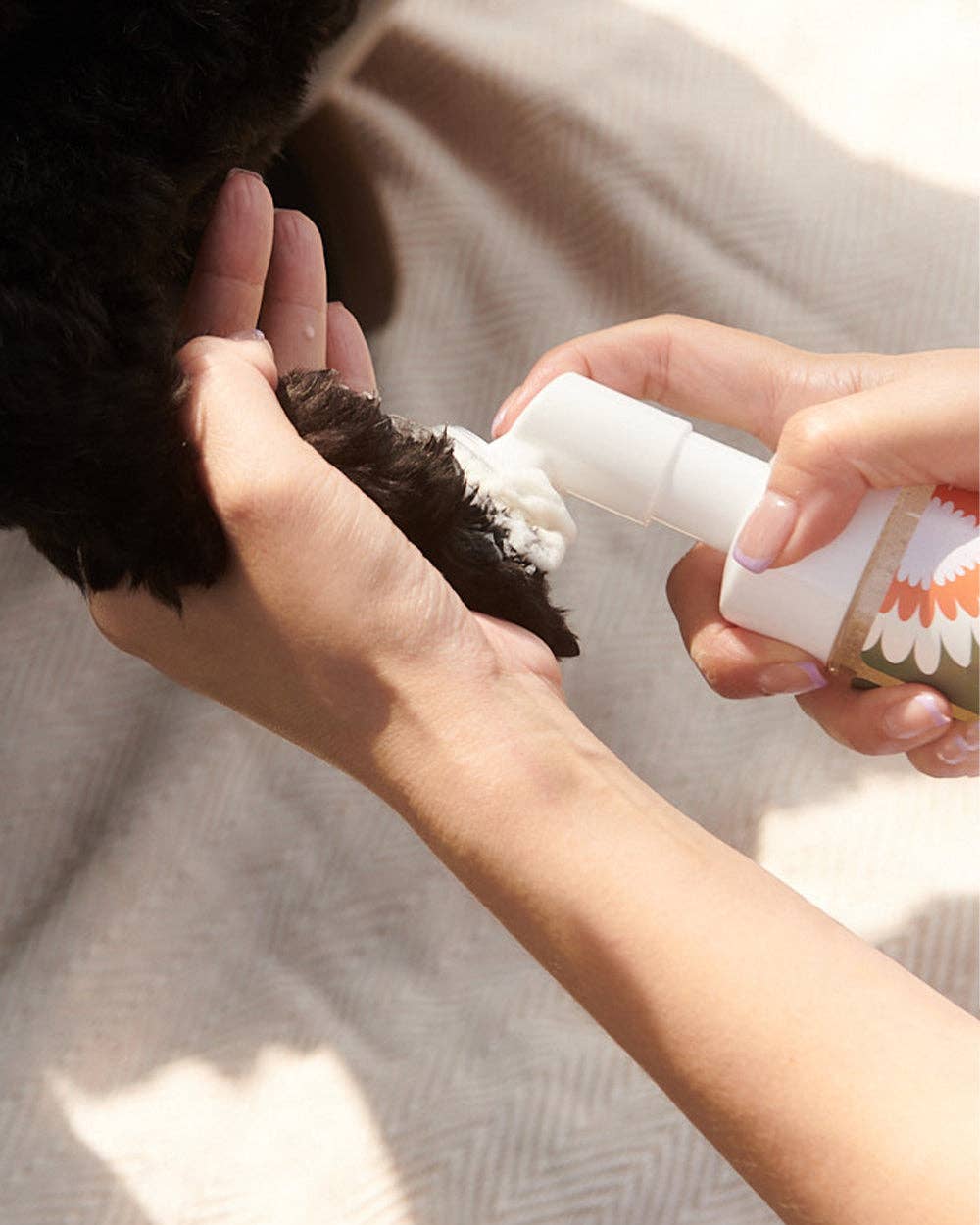 Clean Paws No-Rinse Foaming Cleanser REFILL