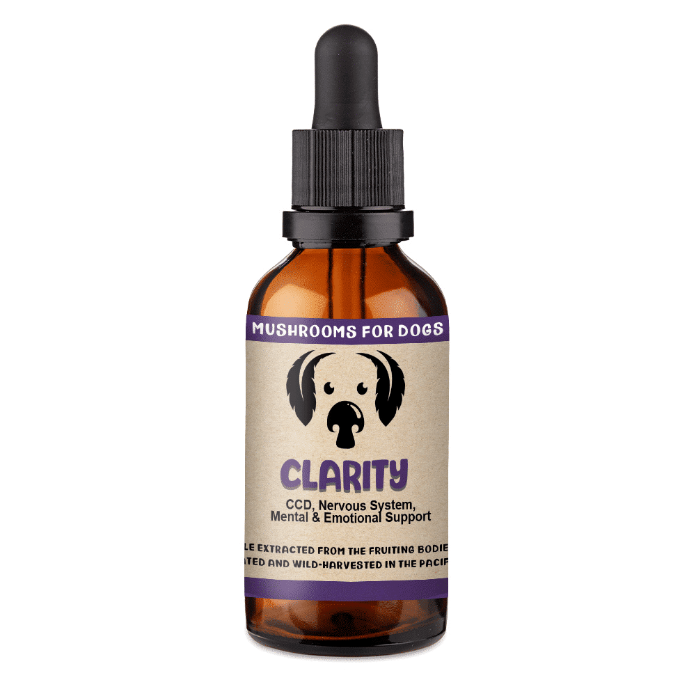 Clarity for Dogs